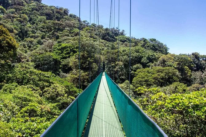Eine Hängebrücke über dem Kronendach des Regenwaldes