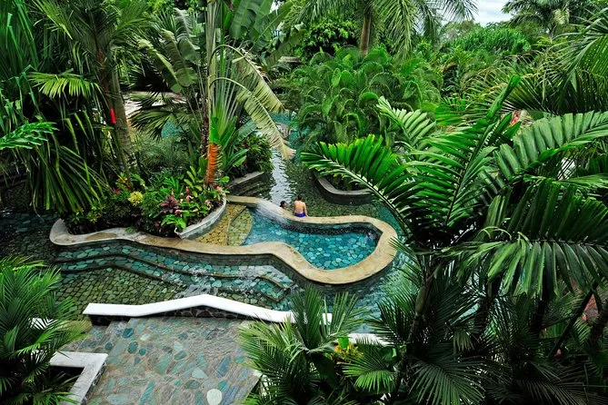 A curving thermal pool in a tropical garden